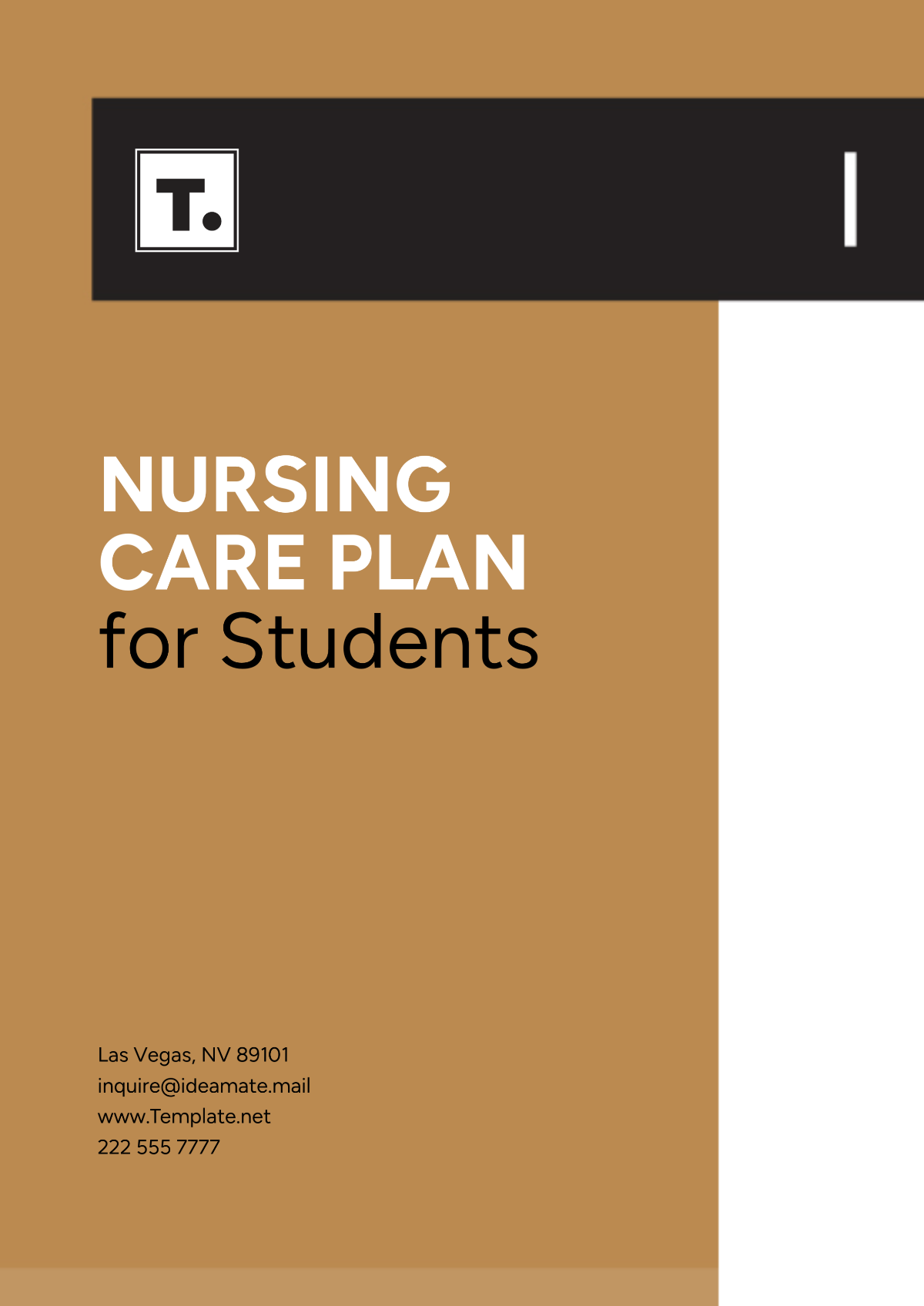 student nursing care plan template