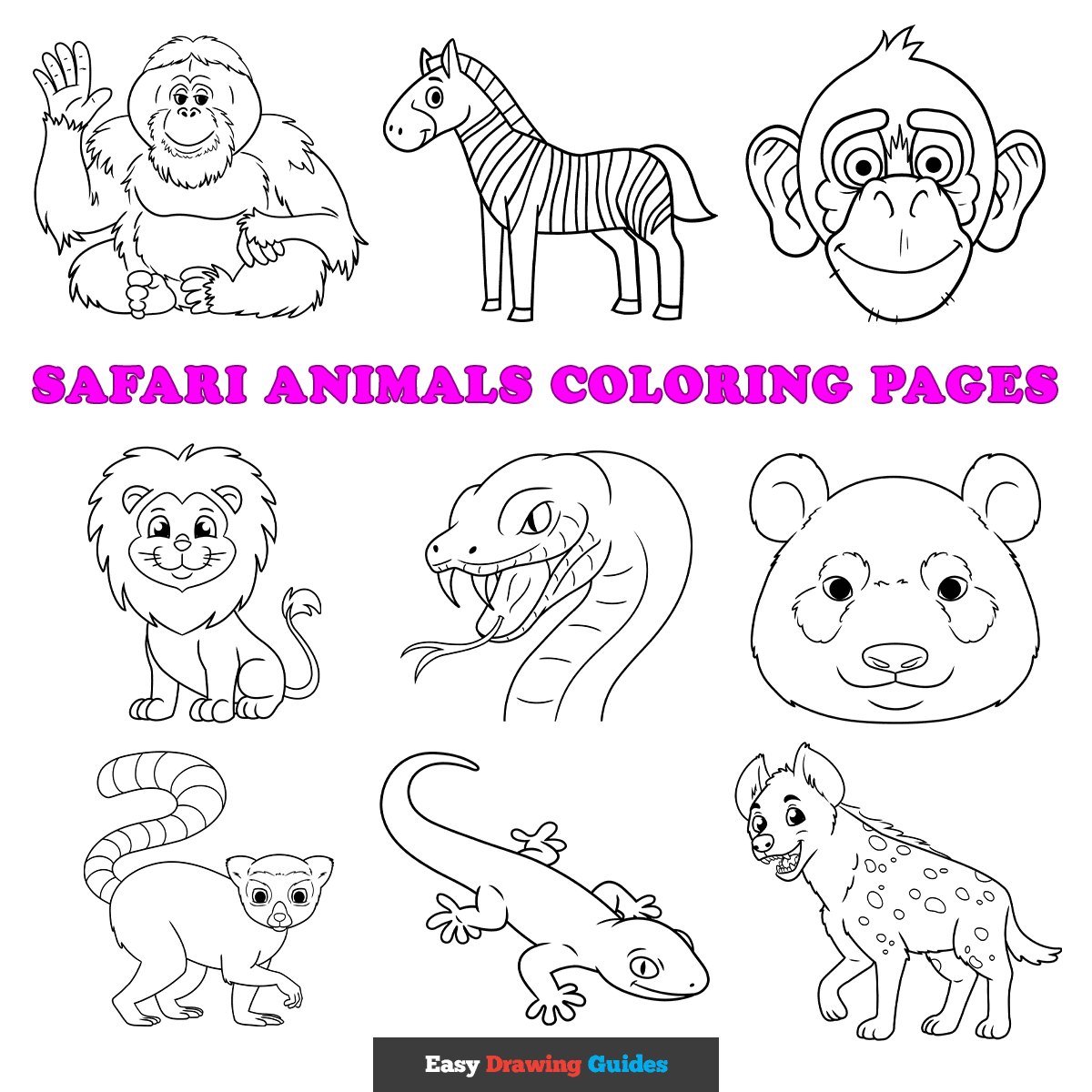 jungle animal pictures to color