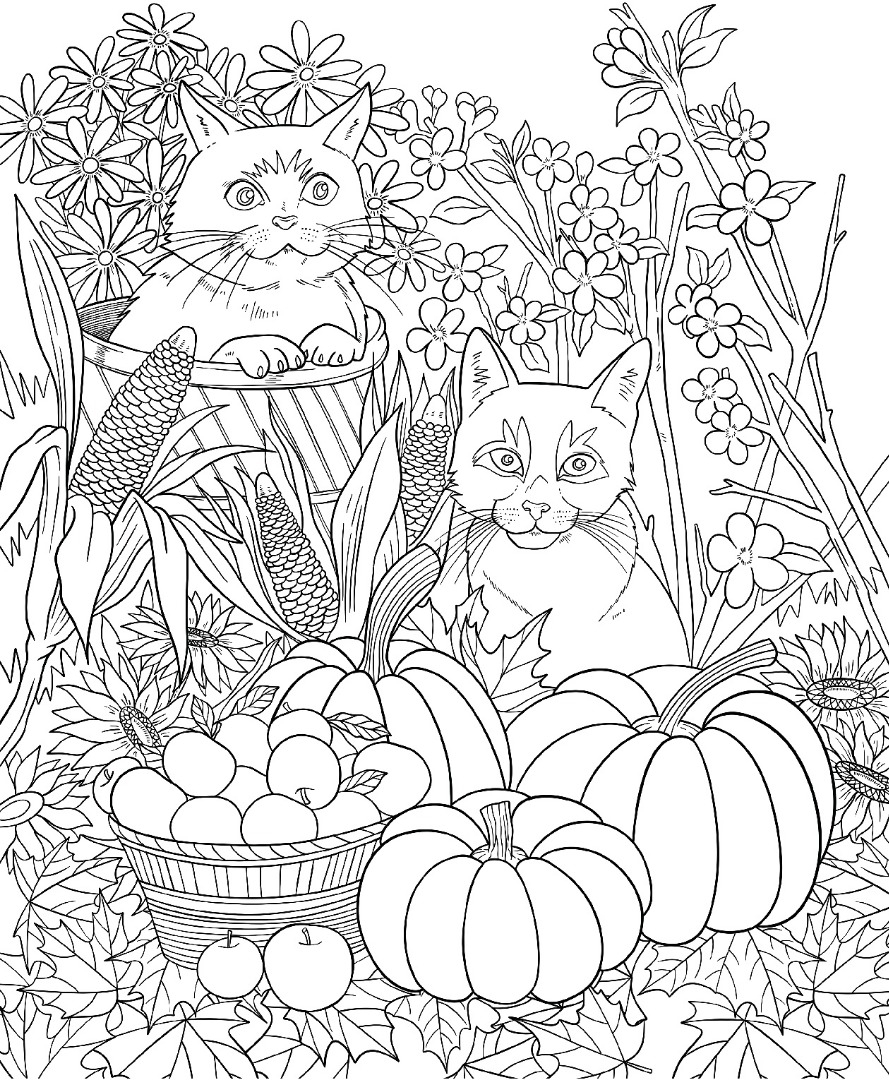 adult cat coloring book