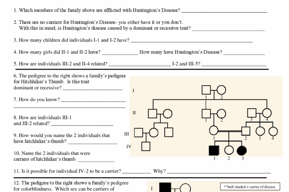 Genetics Pedigree Worksheet Cheat Sheet Biology Docsity