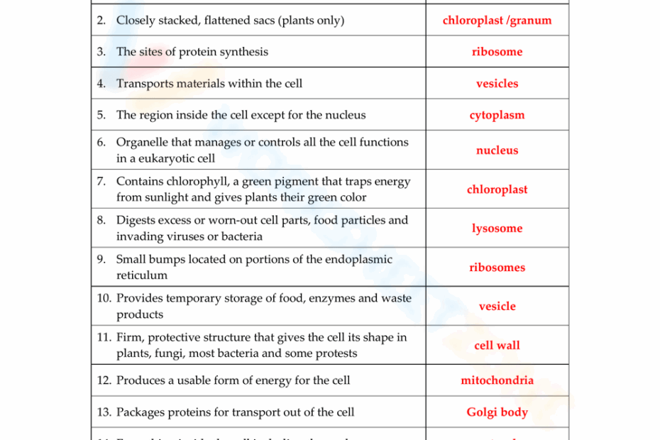 Grade 10 Cell Organelles Worksheets 2025