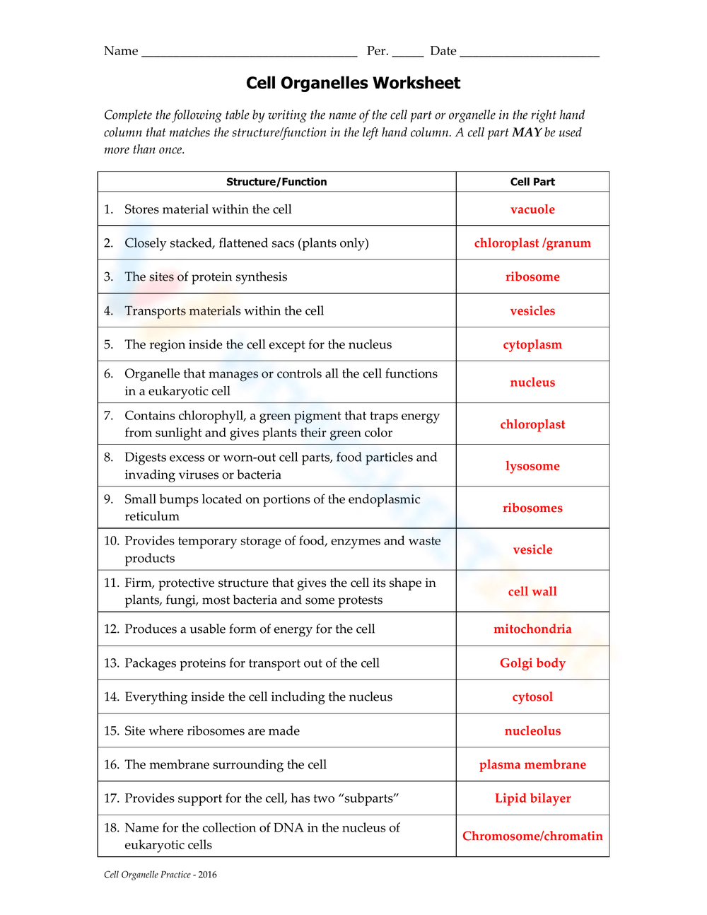 Grade 10 Cell Organelles Worksheets 2025