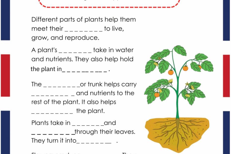Grade 3 Science Pack Cambridge Work Sheets