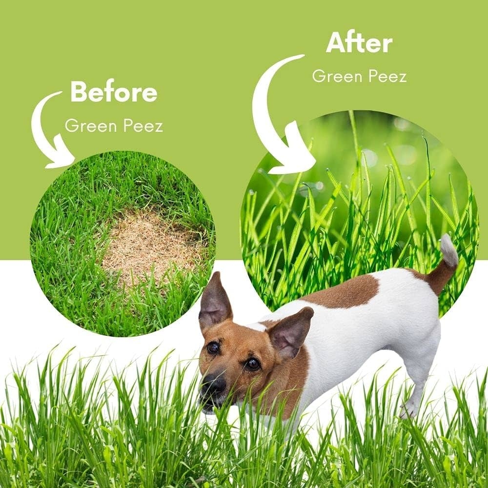 dog urine green color