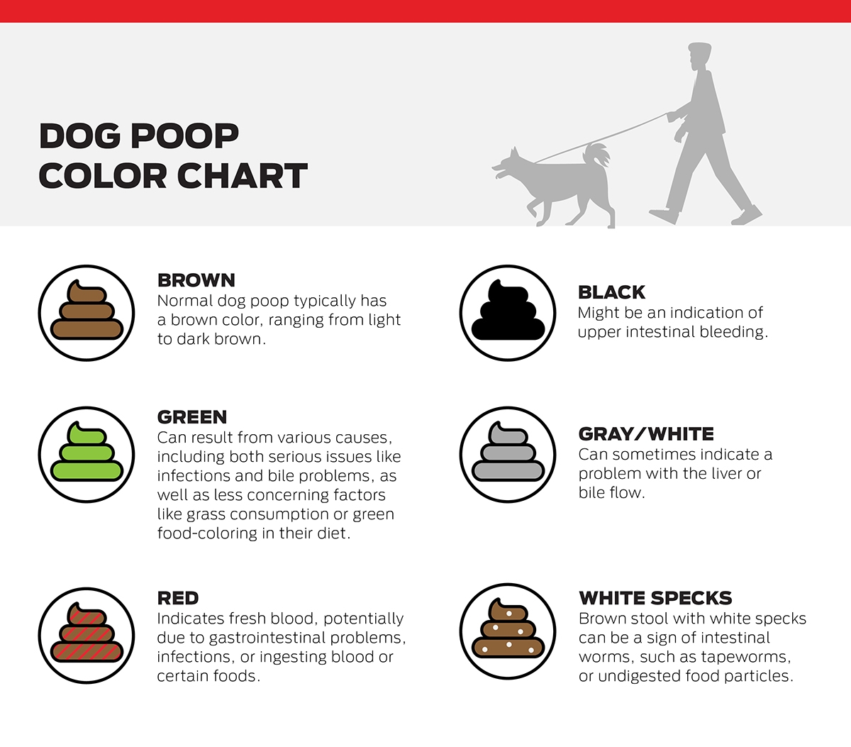 Guide To Types Of Dog Poop Decoding Color U0026 Consistency Purina US