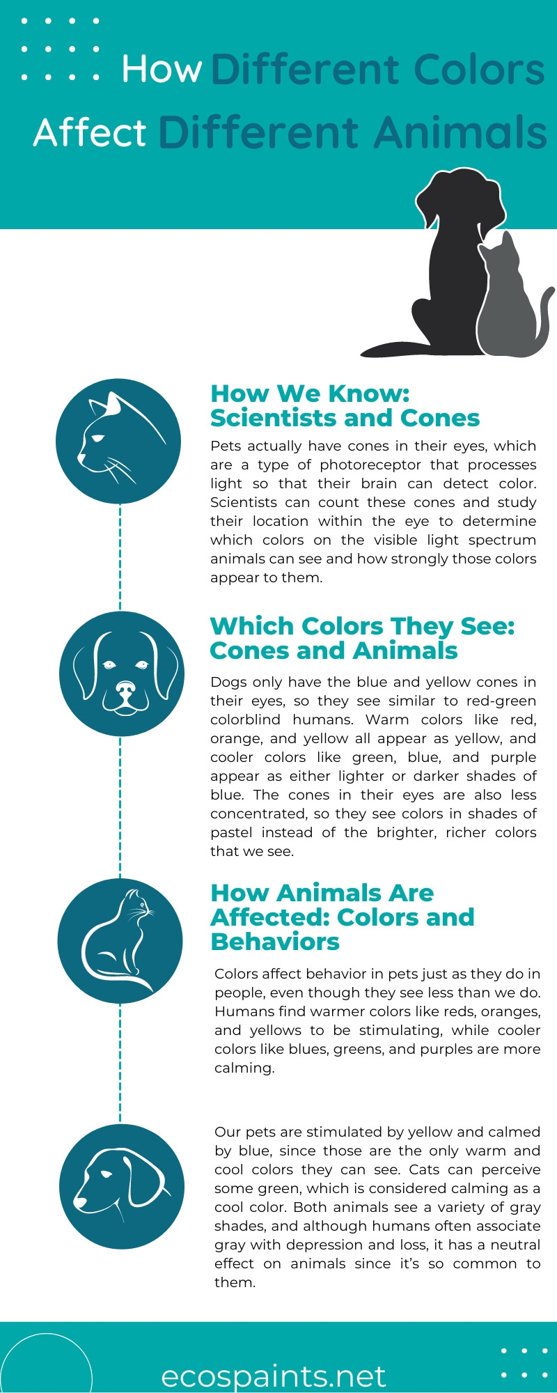 do animals see color