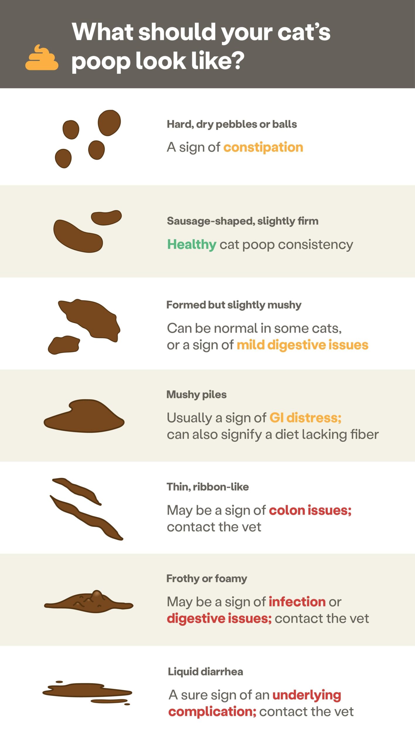 How Often Do Cats Poop What s Normal And What s Not 