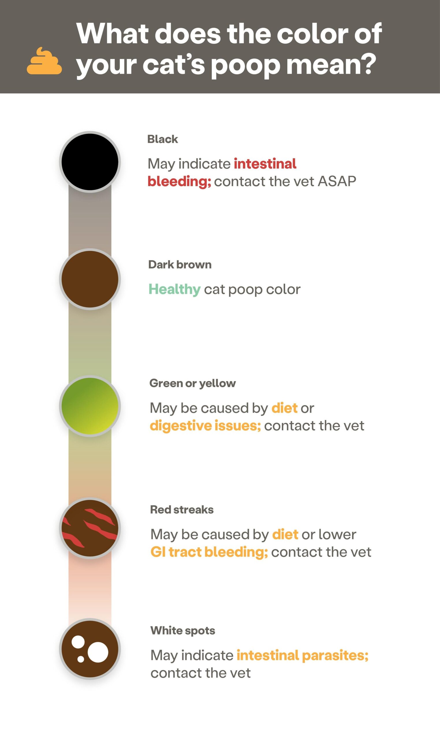 cat feces color chart