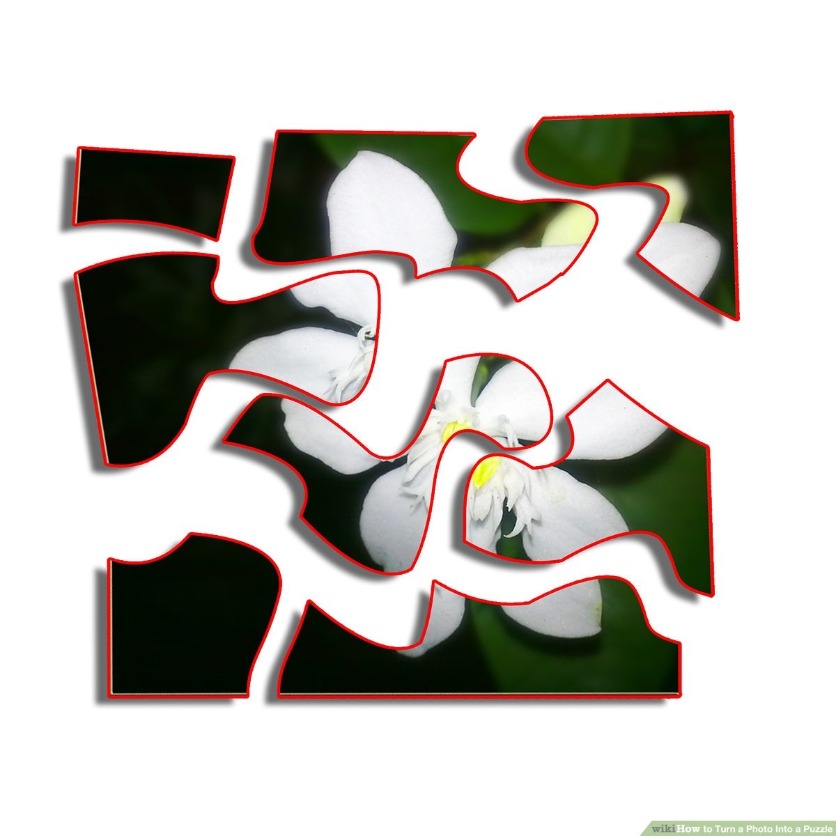 How To Turn A Photo Into A Puzzle 6 Steps with Pictures 