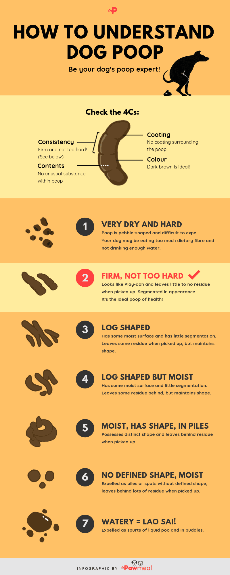 color of dog poop