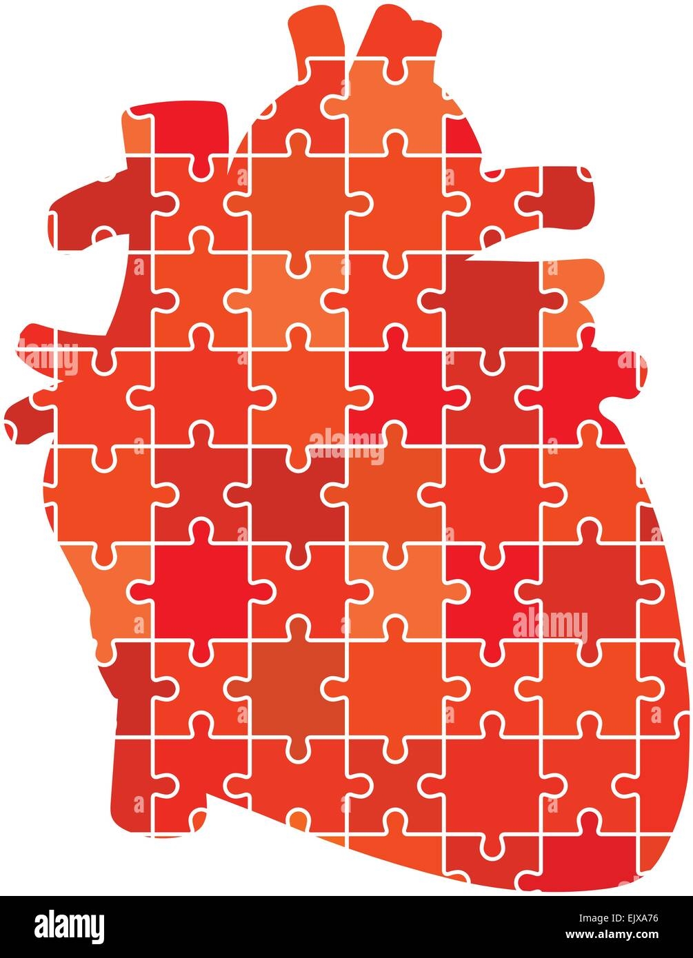 Human Heart Jigsaw Puzzle Pieces Abstract Vector Stock Vector Image U0026 Art Alamy