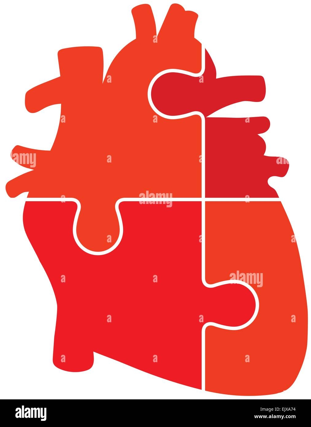 Human Heart Jigsaw Puzzle Pieces Abstract Vector Stock Vector Image U0026 Art Alamy