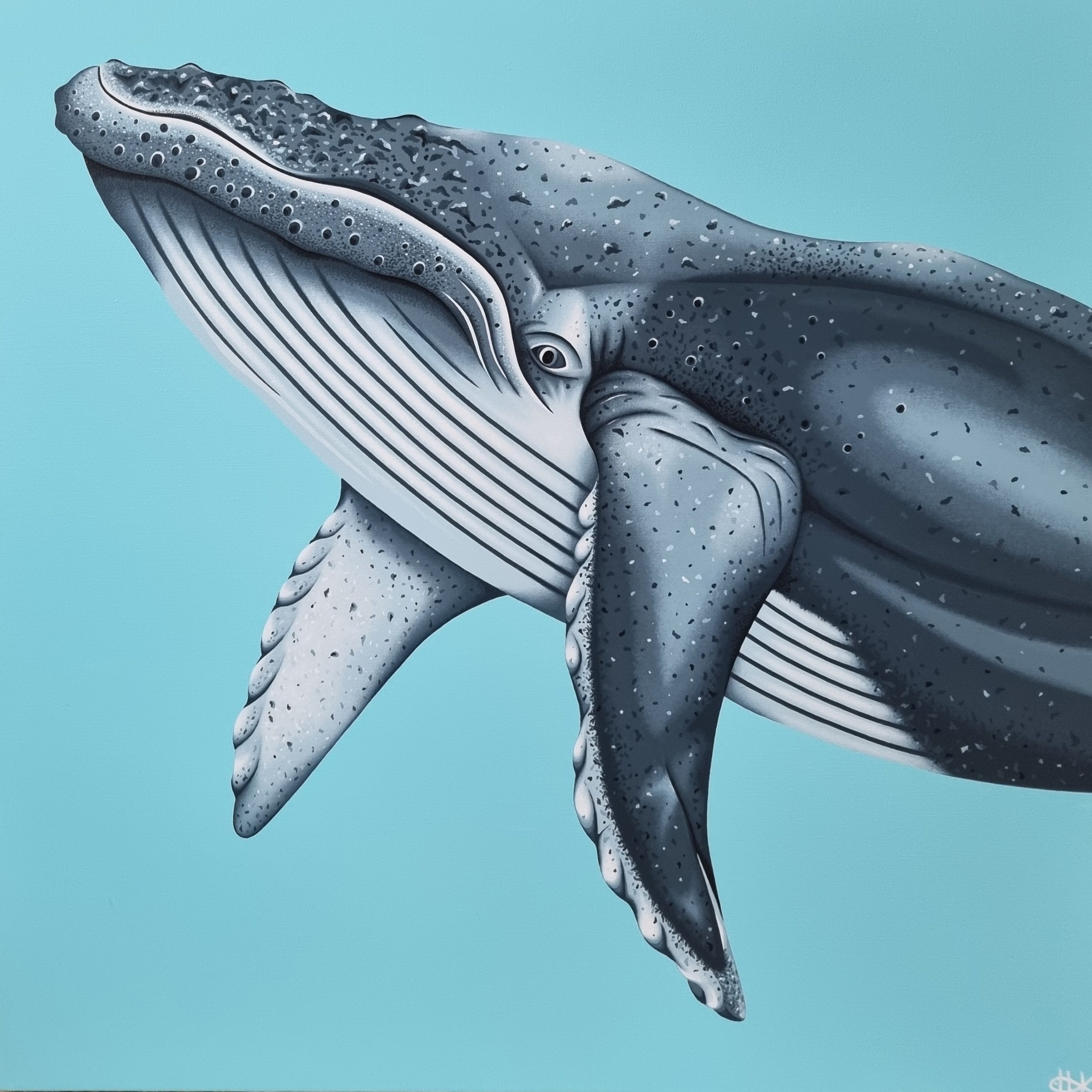 Humpback Whale No 2 Art Lovers Australia