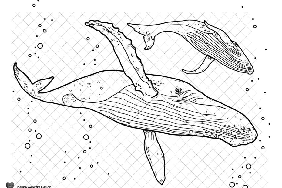 Humpback Whales Colouring Page Printable Coloring Page For Adults Children Instant Download Whale Coloring Page Whale Coloring Sheet Print Etsy Australia