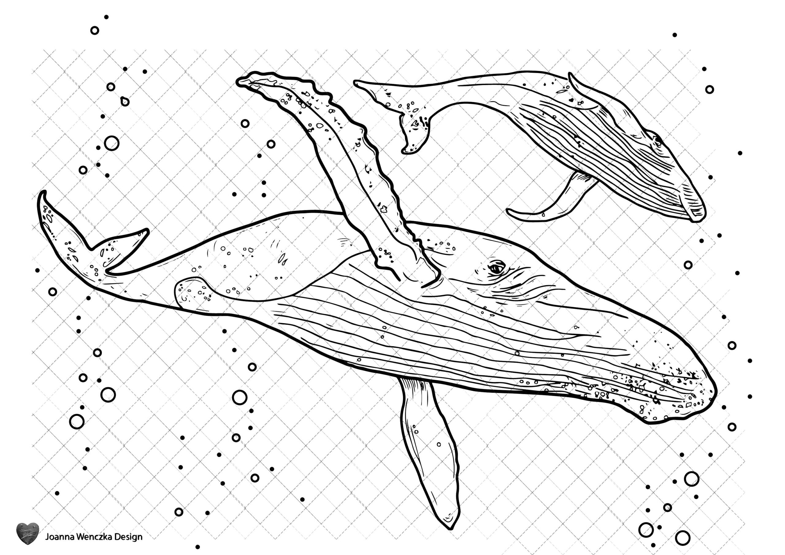 Humpback Whales Colouring Page Printable Coloring Page For Adults Children Instant Download Whale Coloring Page Whale Coloring Sheet Print Etsy Australia