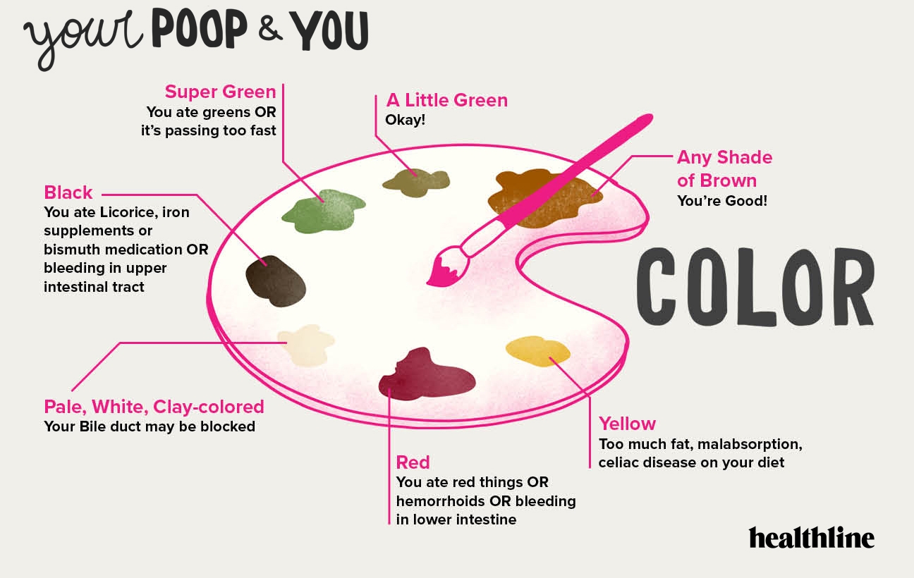 poop color chart pictures