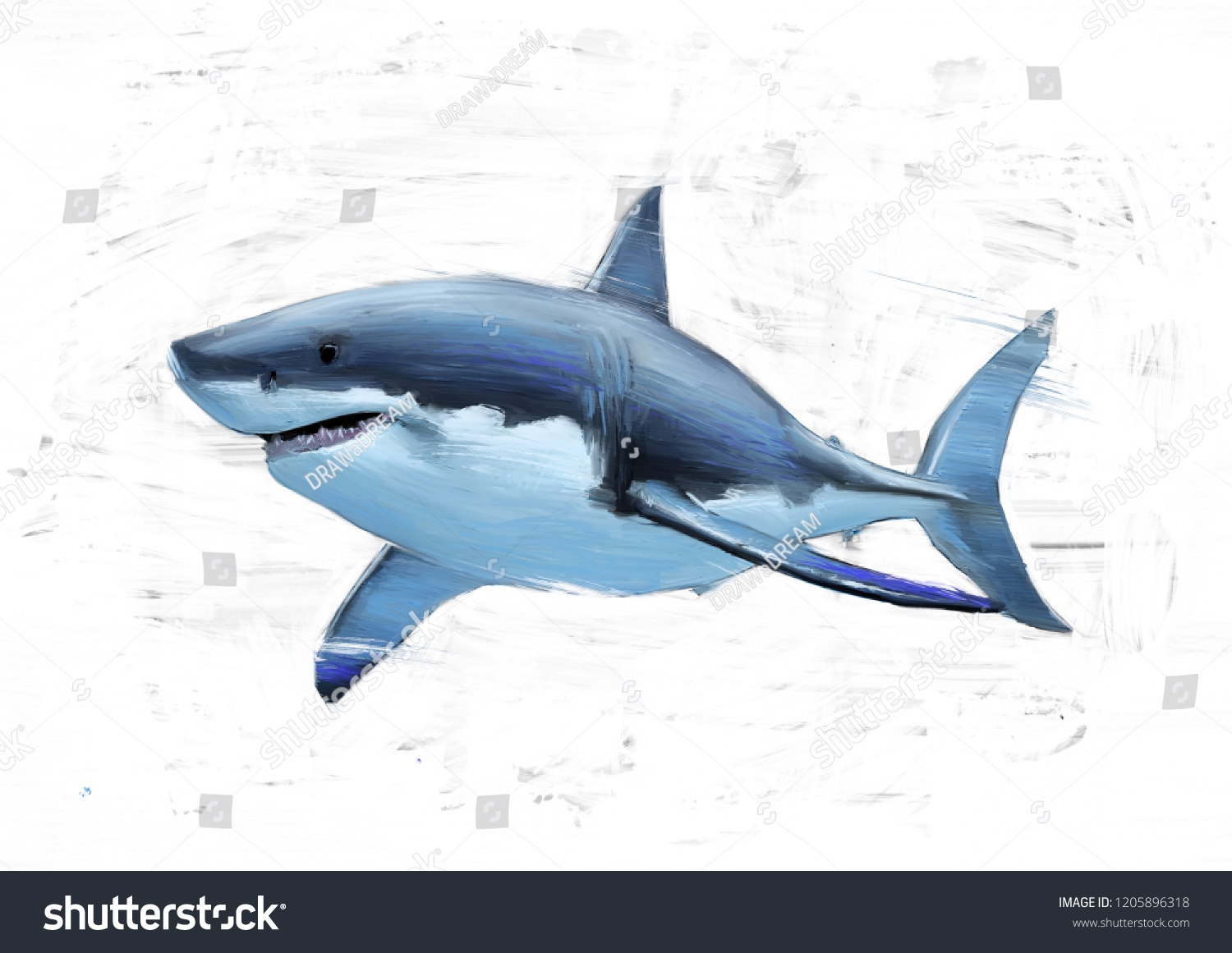 shark color