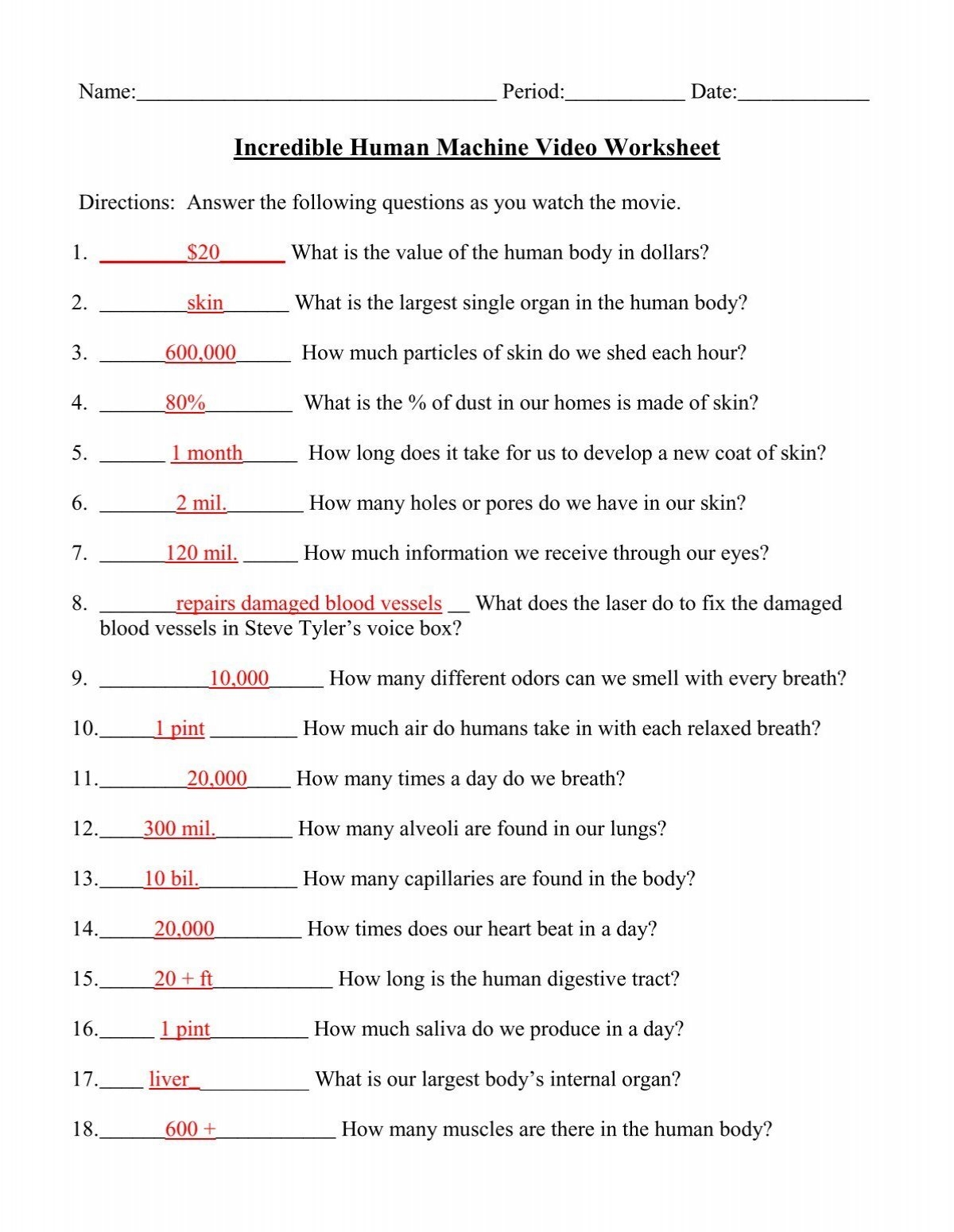 Incredible Human Machine Video Worksheet
