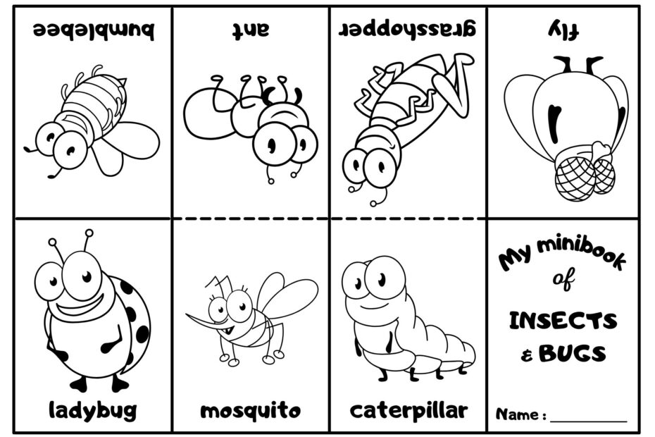 Insects And Bugs Mini Coloring Book Ezpzlearn
