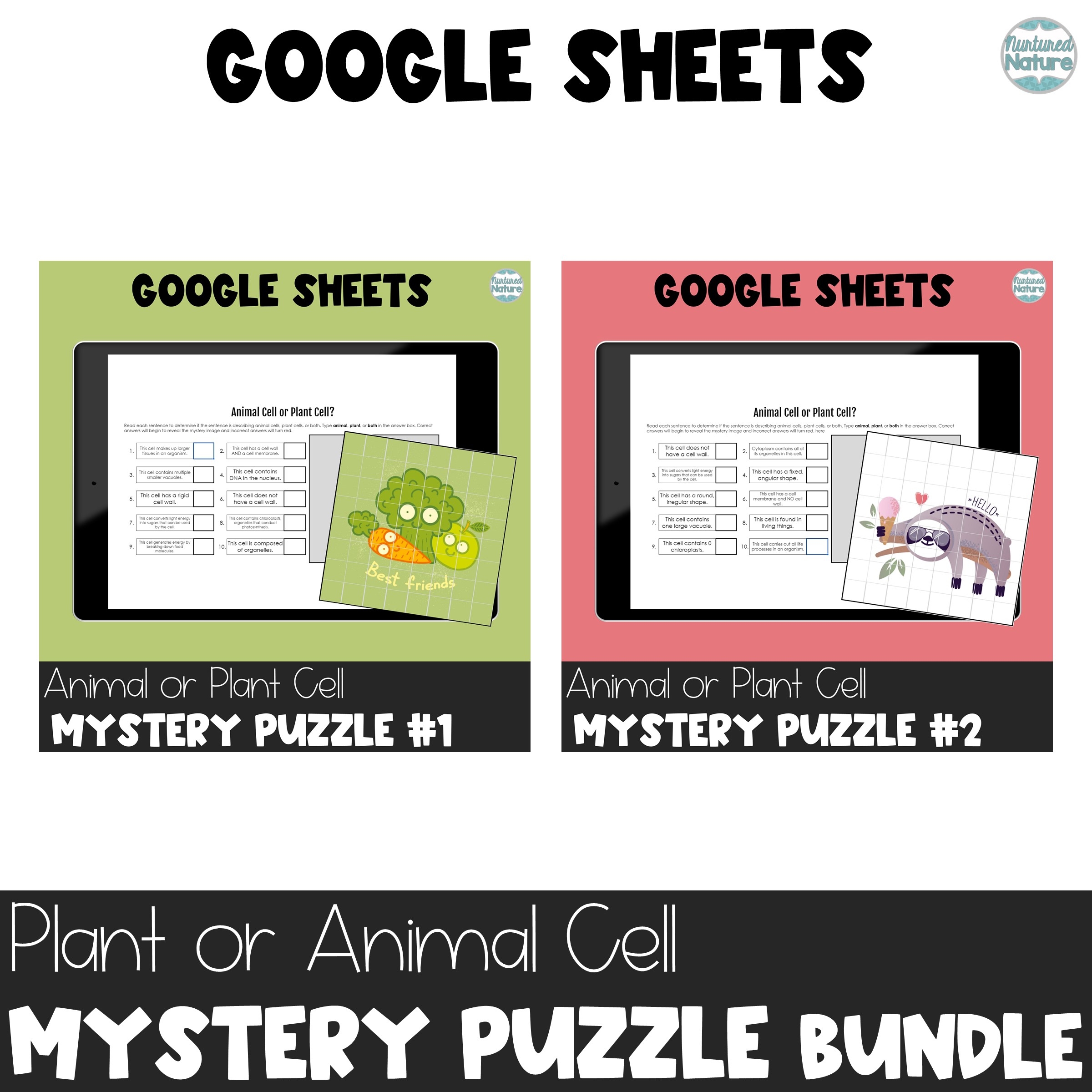 Internal Or External Structures Pixel Art Puzzle Bundle Google 