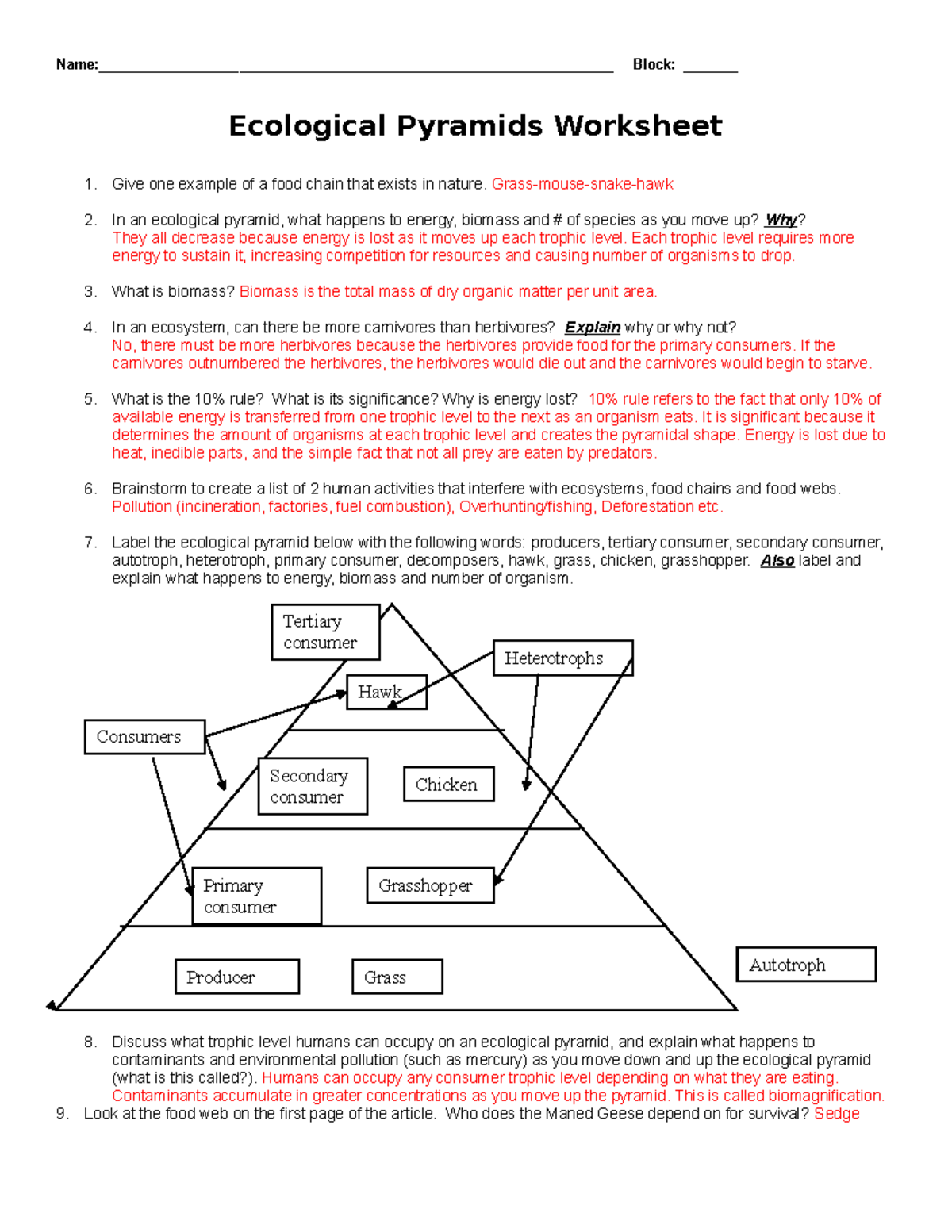 KEY Ecological pyramids worksheet 2013 Studocu