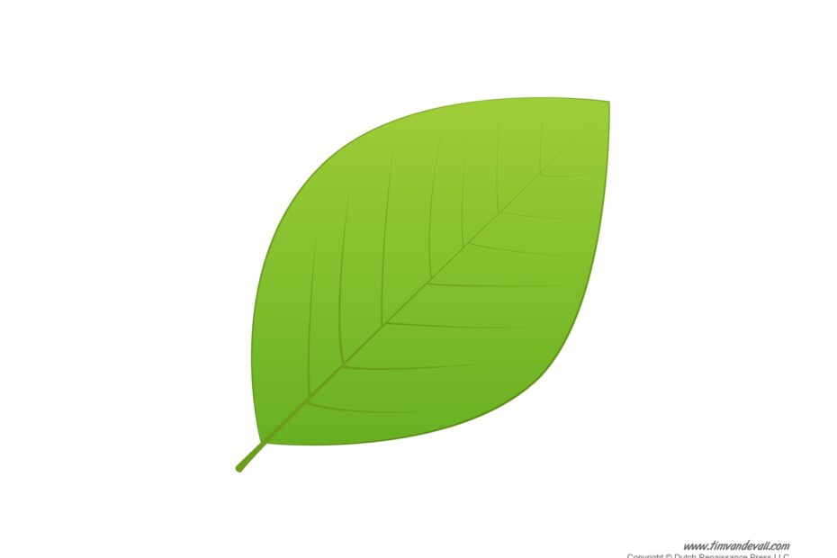 Leaf Templates U0026 Leaf Coloring Pages For Kids Leaf Printables