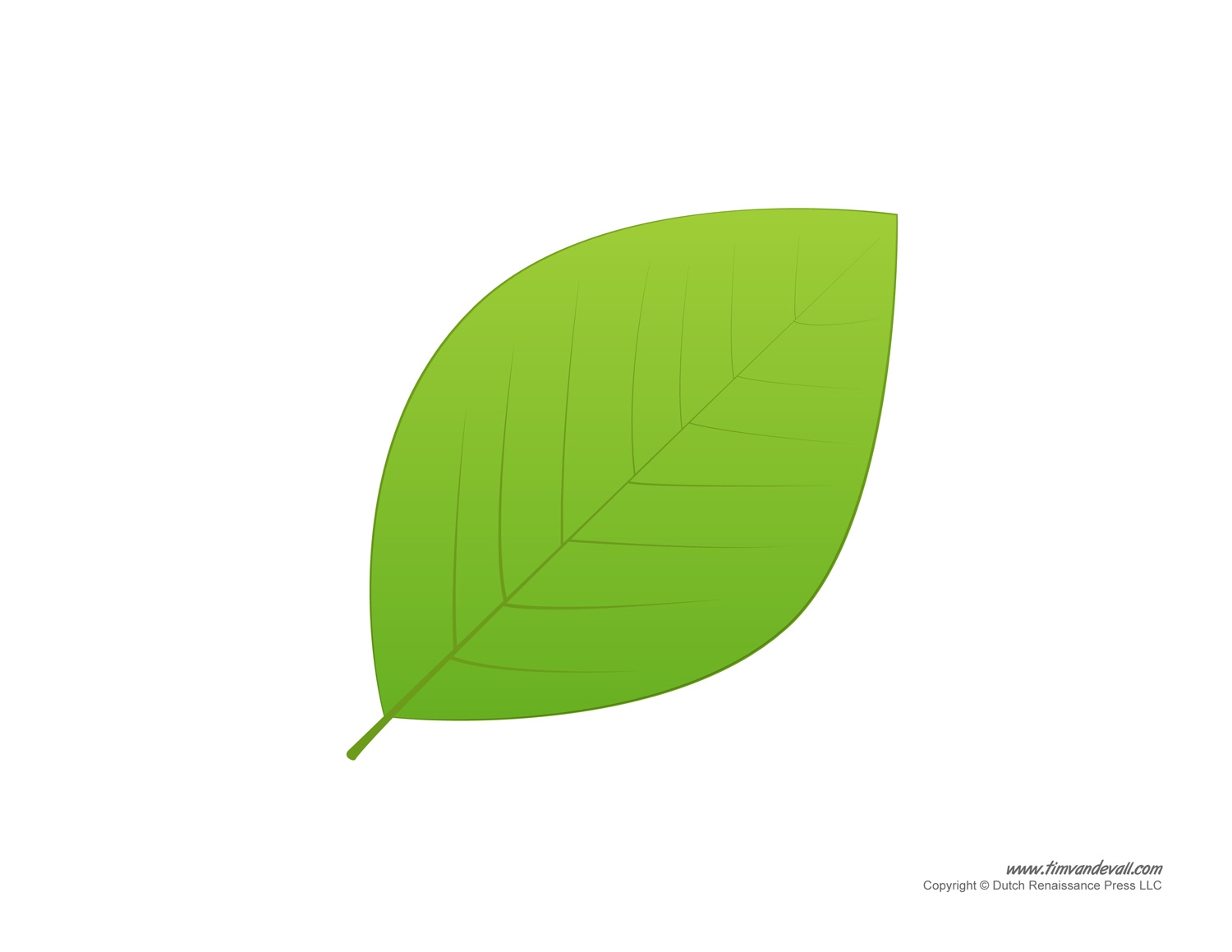 Leaf Templates U0026 Leaf Coloring Pages For Kids Leaf Printables