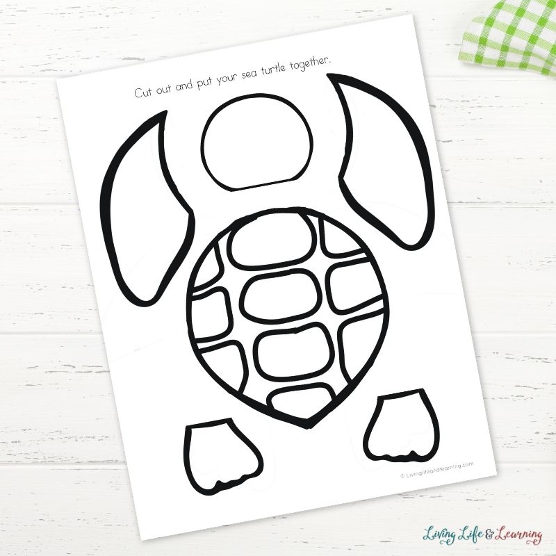 Learn And Explore With A Sea Turtle Template Printable
