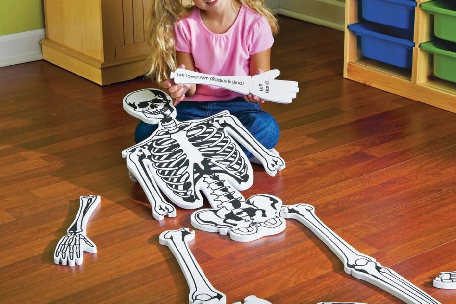Learning Resources Skeleton Foam Floor Puzzle Amazon co uk Toys U0026 Games