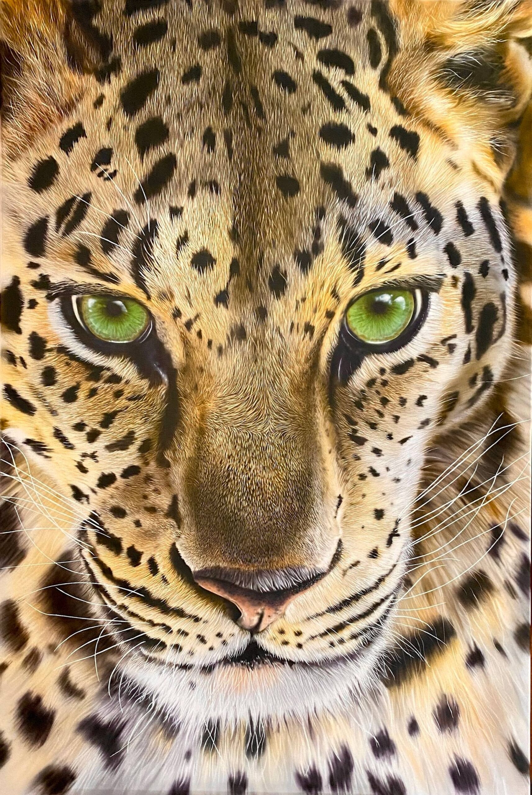 Leopard Closeup