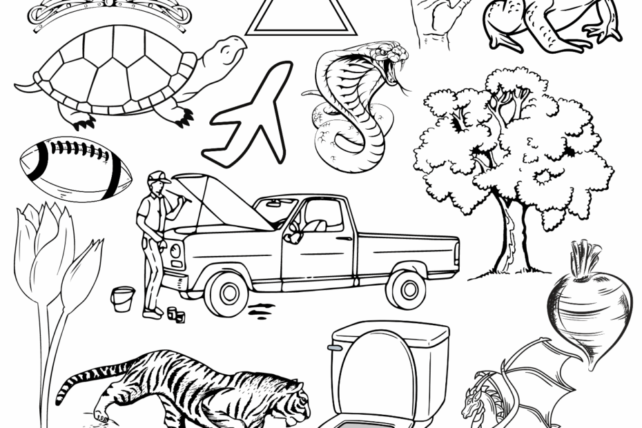 Letter T Image Finder Coloring Worksheet Classful