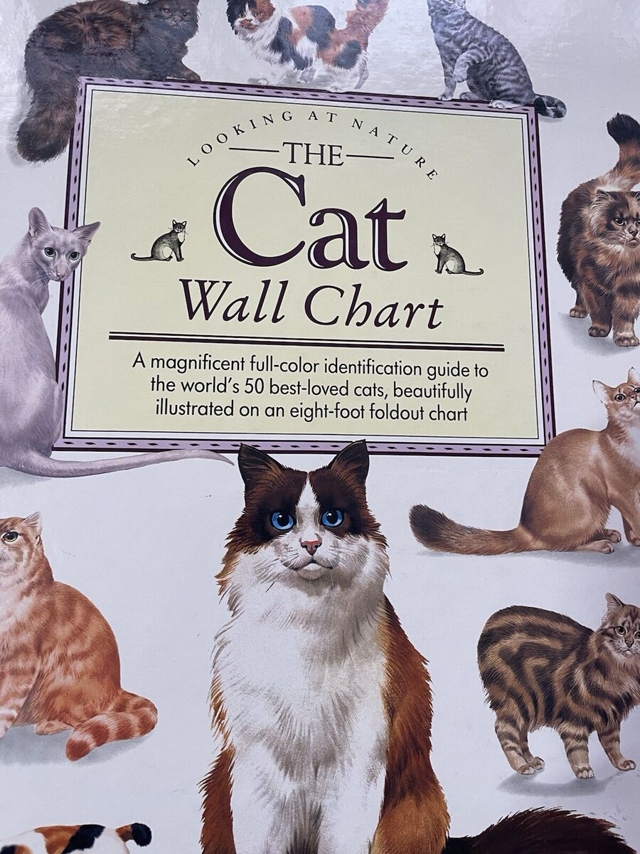 cat color chart