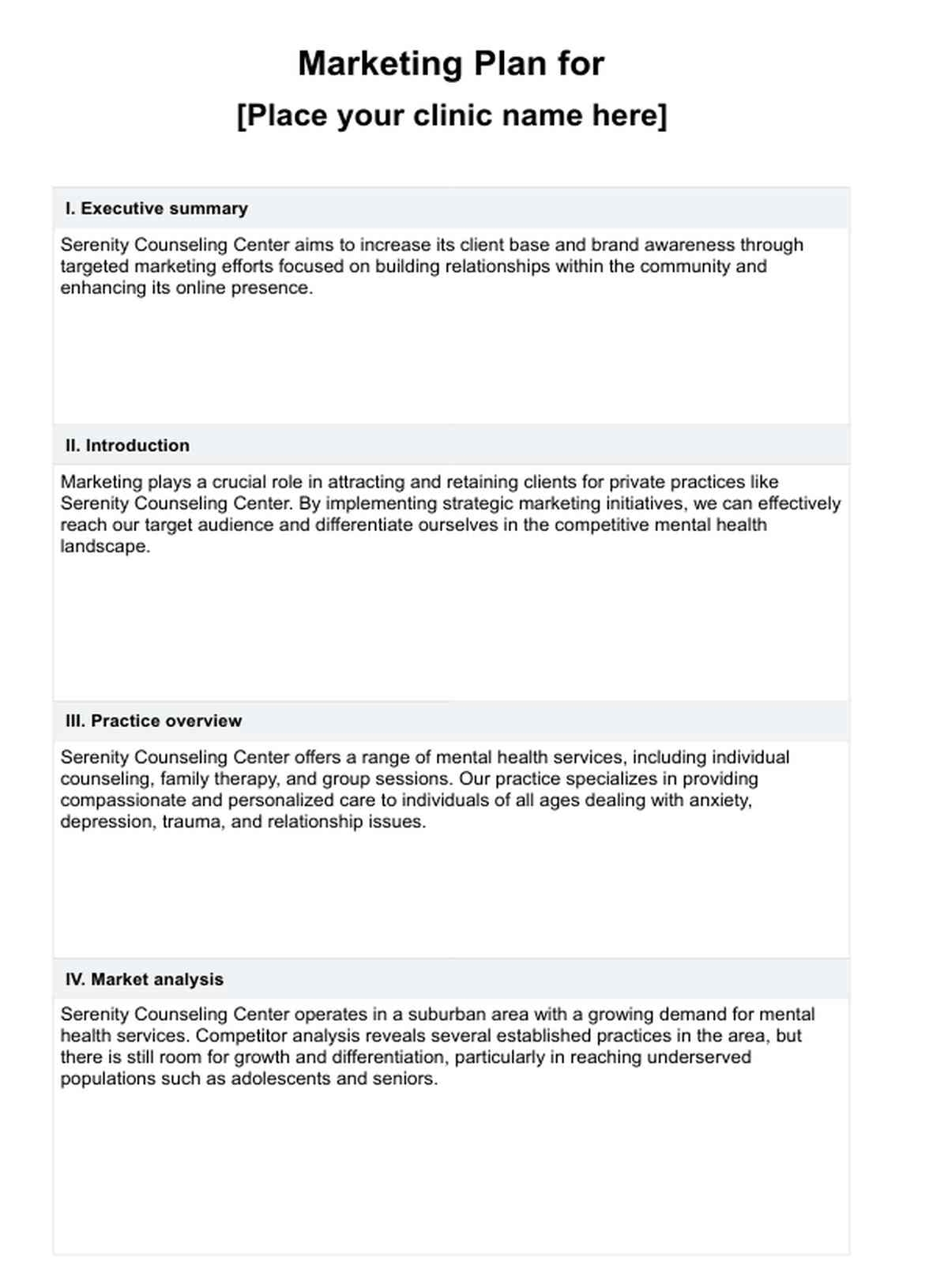 private practice business plan template