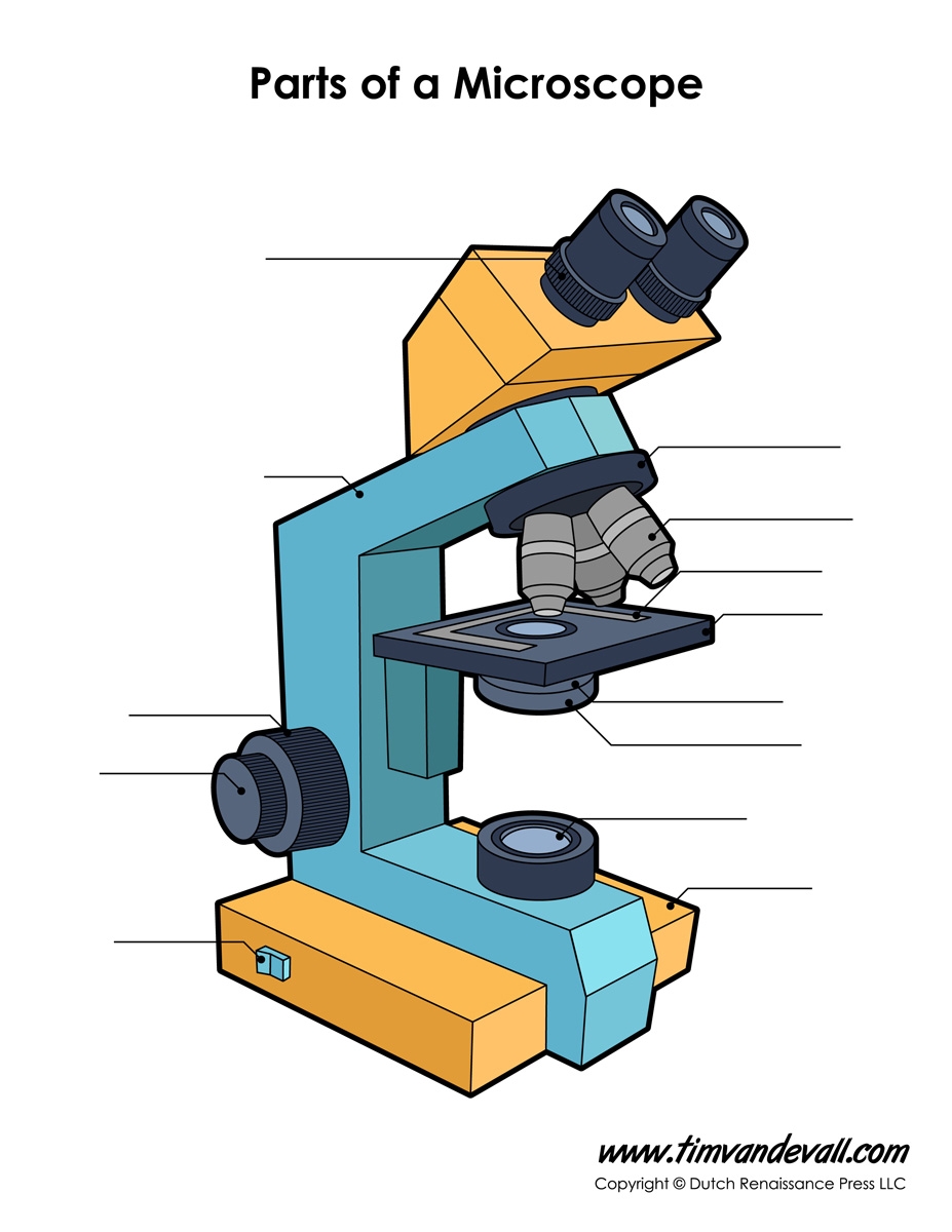 Microscope Diagram Labeled Unlabeled And Blank Parts Of A 