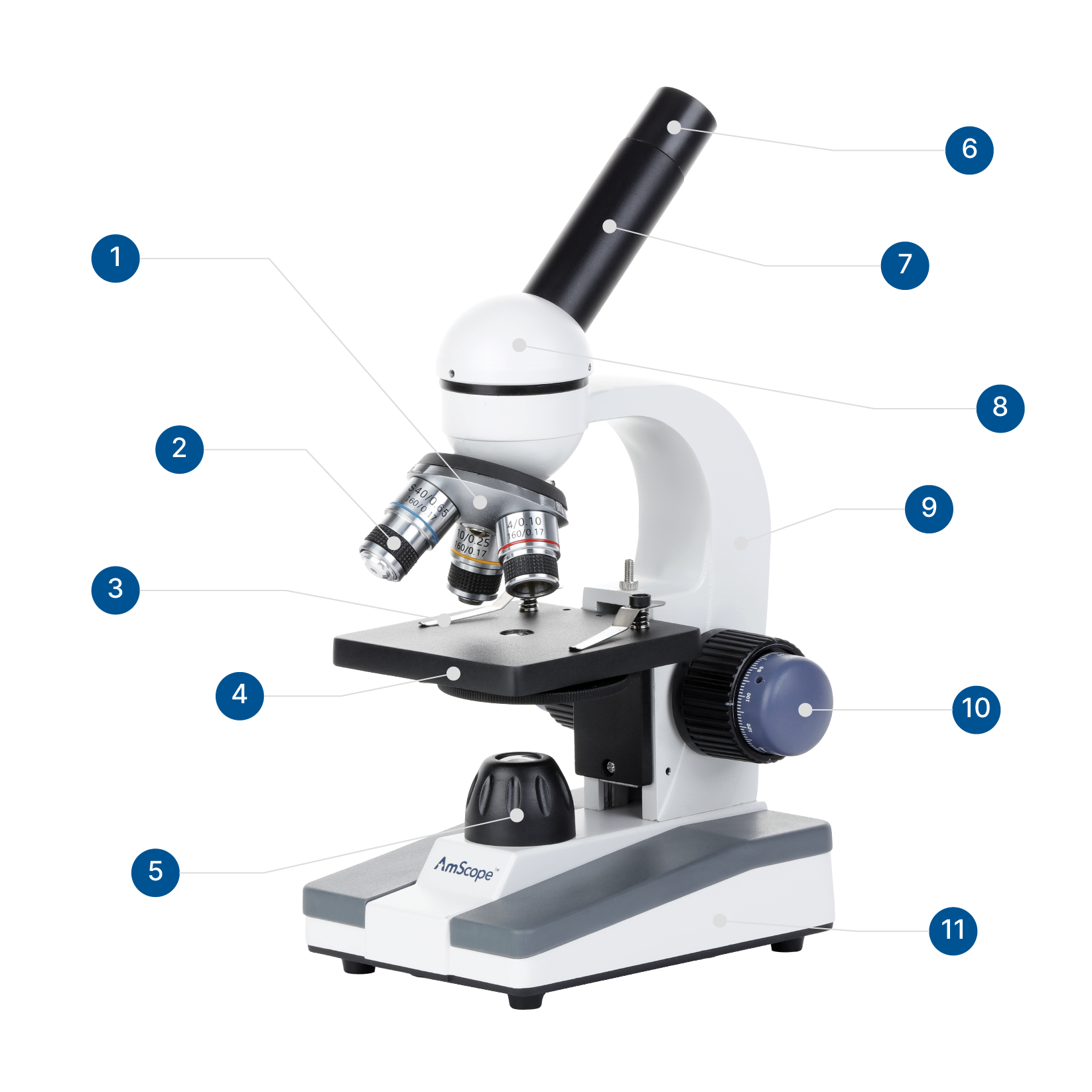 Microscope Parts U0026 Functions AmScope