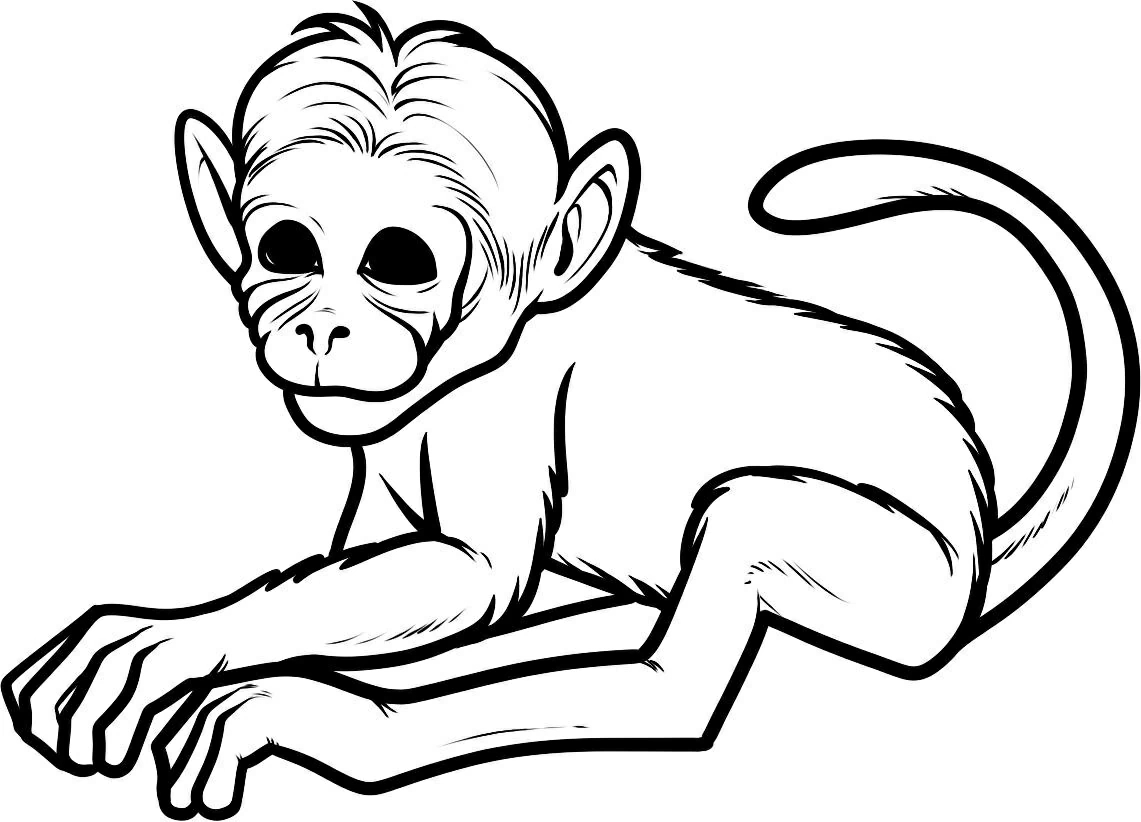 printable monkey coloring pages