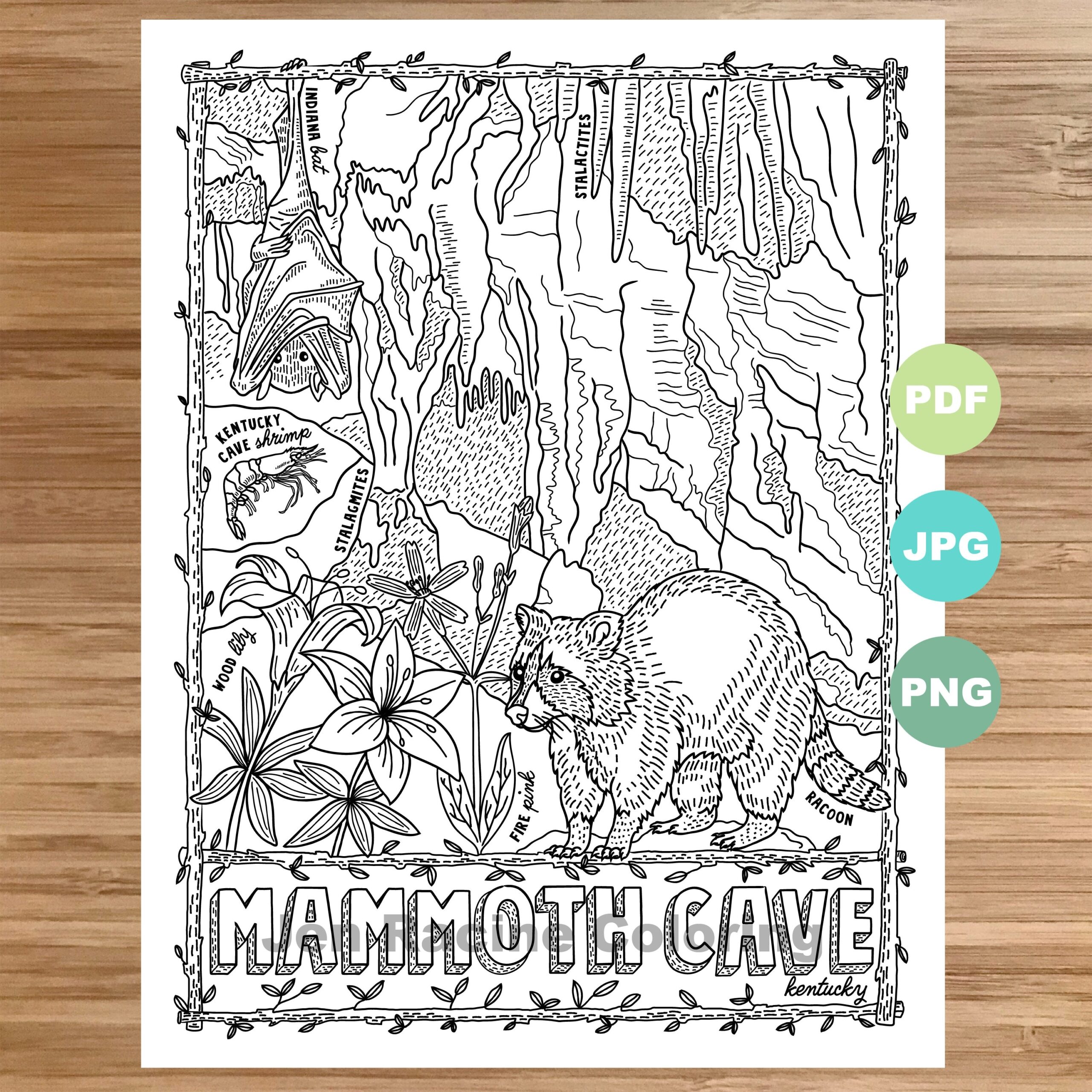 National Park Coloring Page Mammoth Cave Kentucky National Park Landscape Animal Plant Wildflower Coloring Page Printable