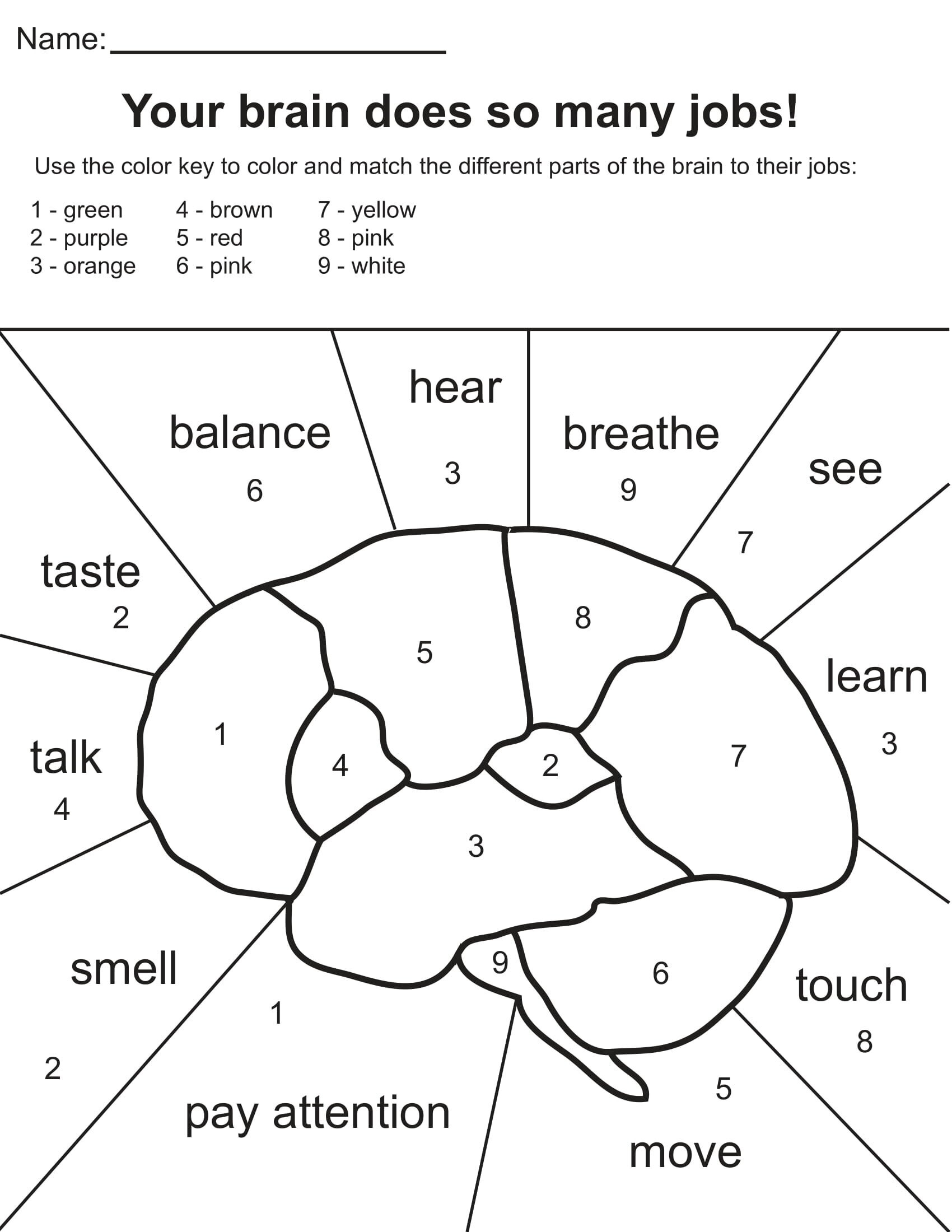 Neuro Coloring PPages GLIA Worksheets Library