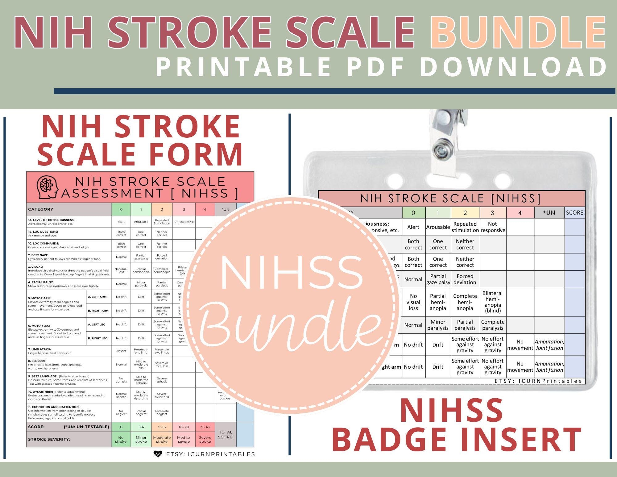 NIH Stroke Scale Bundle NIHSS Assessment Form And Badge Insert Printable PDF Download Etsy