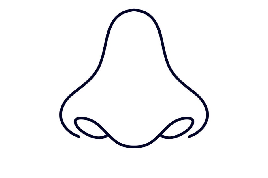 Nose Logo Design Template Organs Royalty Free Vector Image