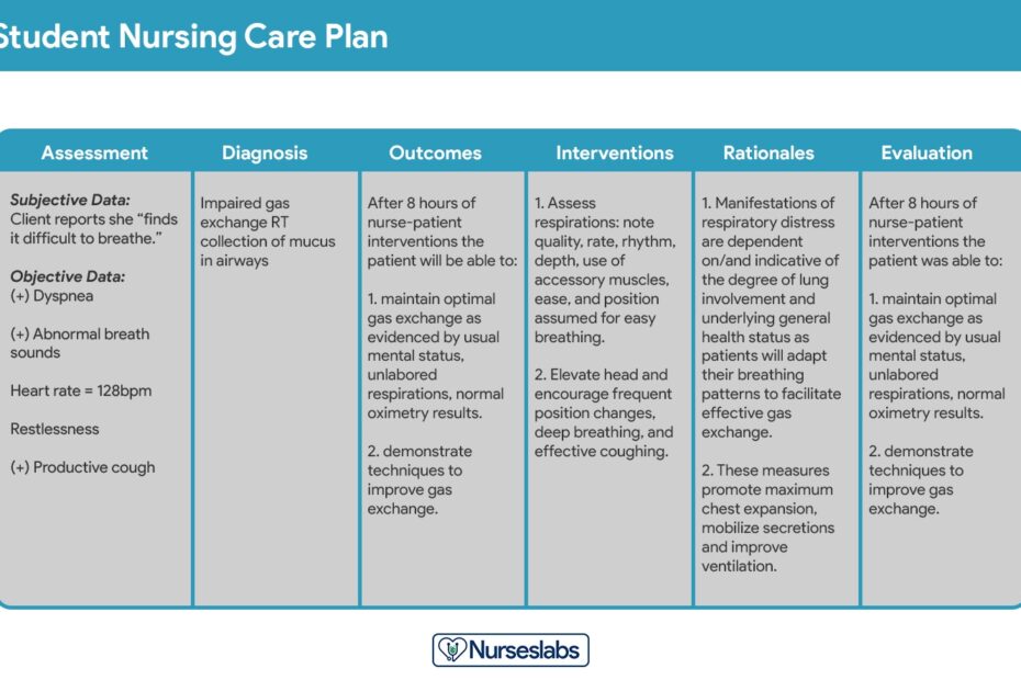 Nursing Care Plan NCP Ultimate Guide U0026 List 2025 Update Nurseslabs