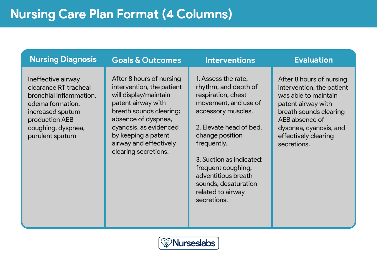 non medical care plan template