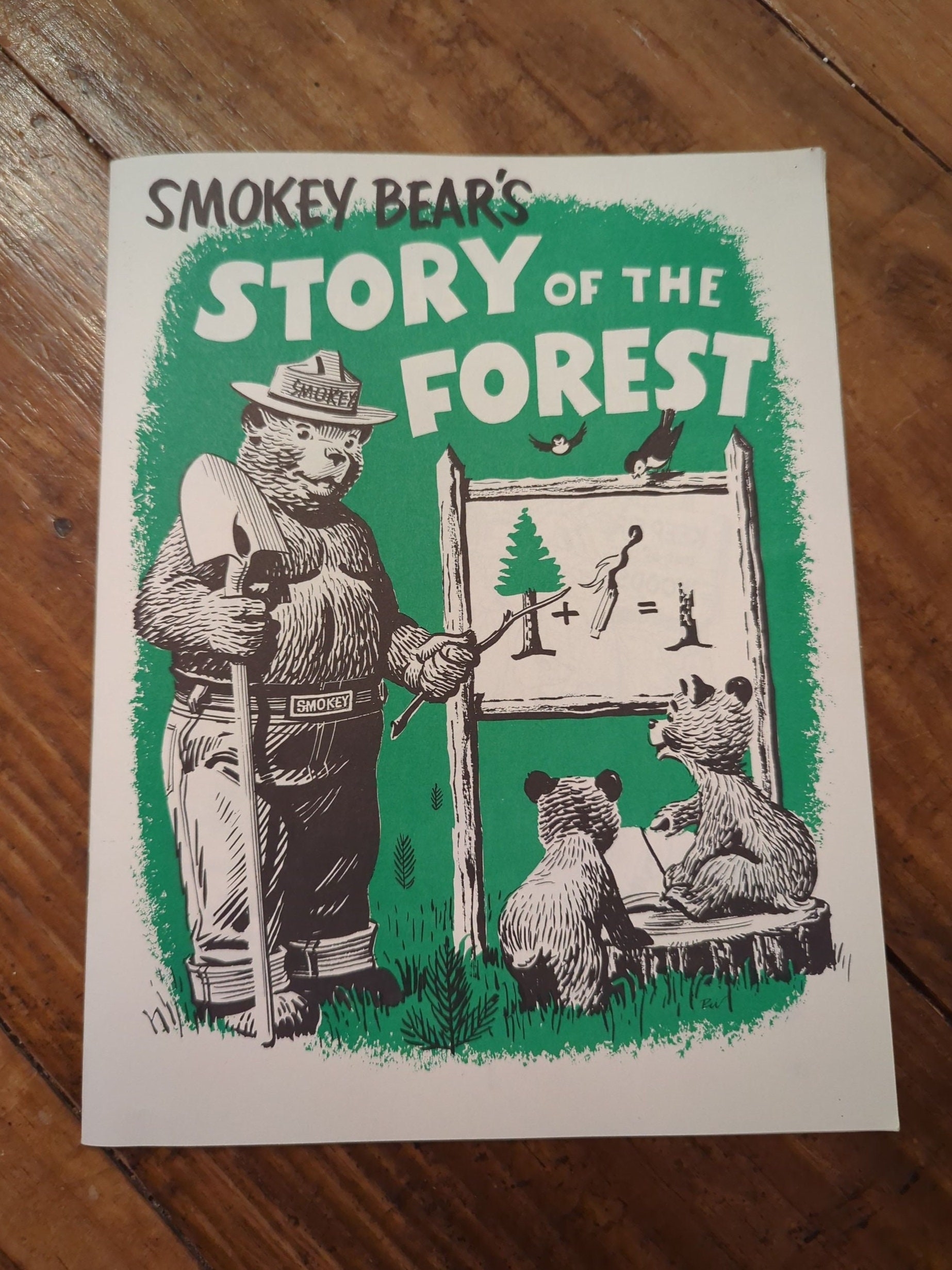 Old U0026 Original 1960 Smokey Bear Story Of The Forest Coloring Book 