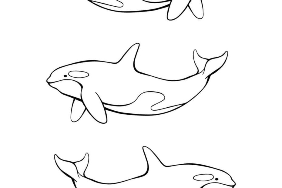 Orca Coloring Pages For Kids Nature Inspired Learning
