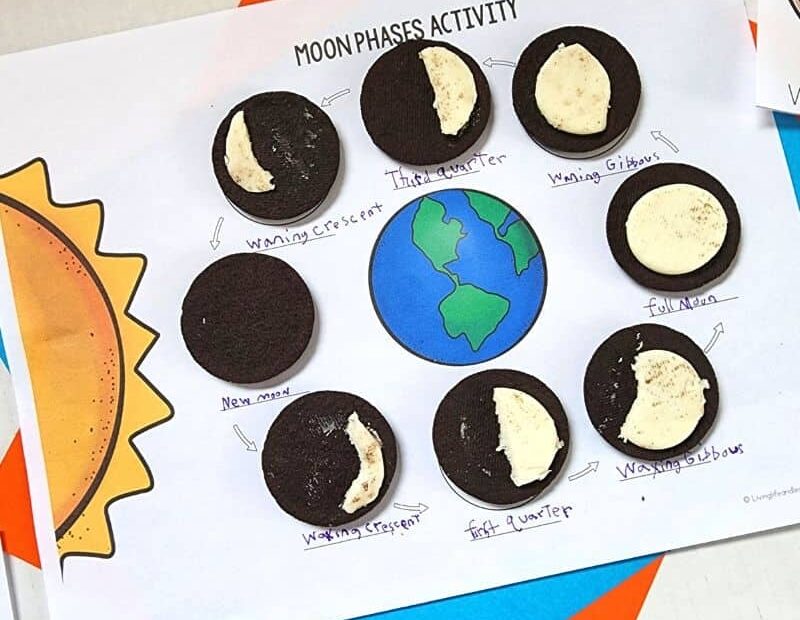 Oreo Moon Phases Activity
