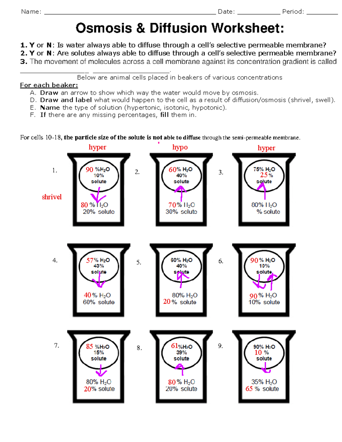 diffusion and osmosis worksheet
