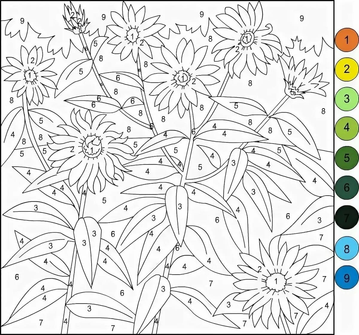 Paint By Numbers Free For Adults