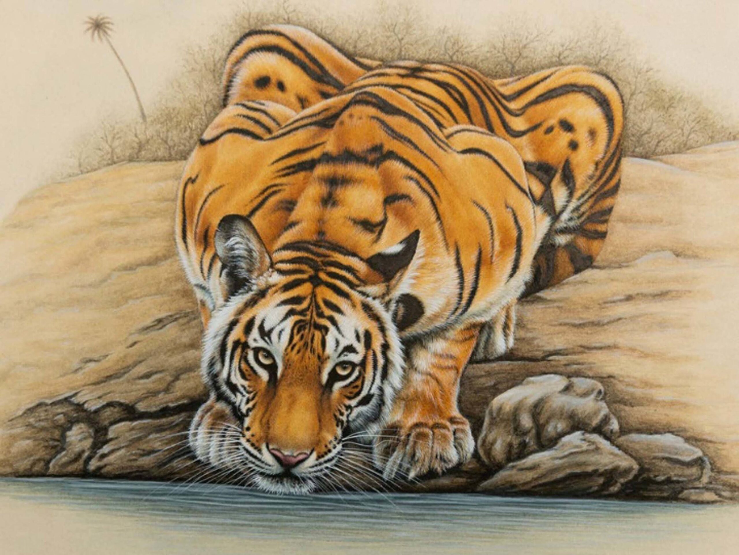 colorful tiger painting