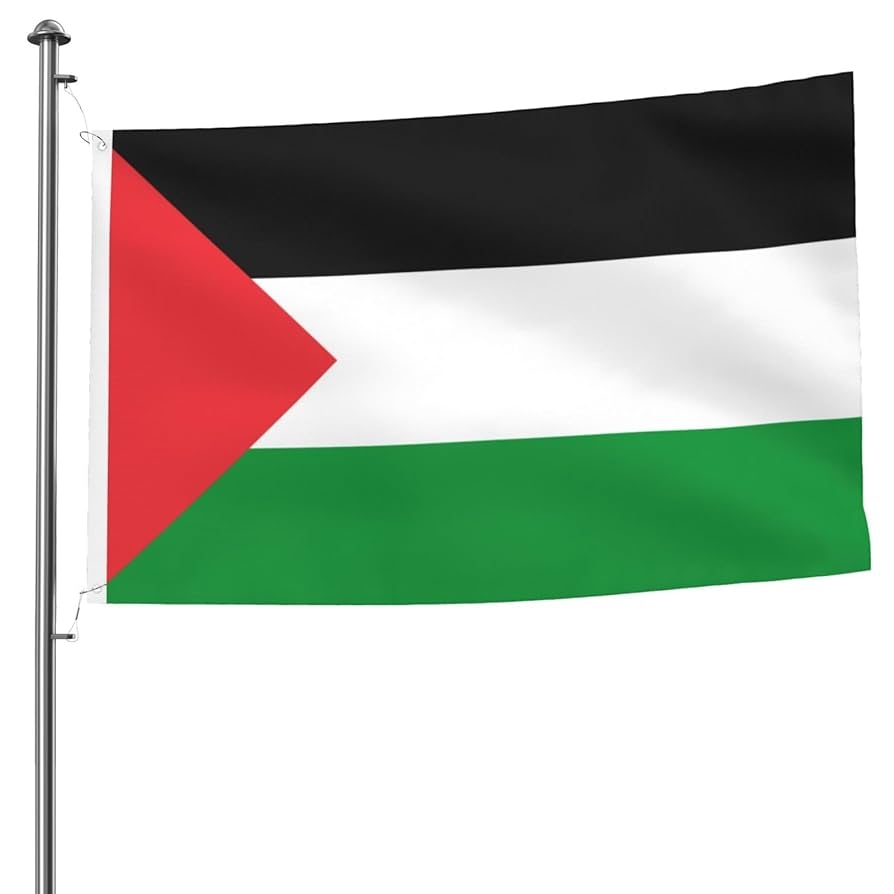 palestine flag colors