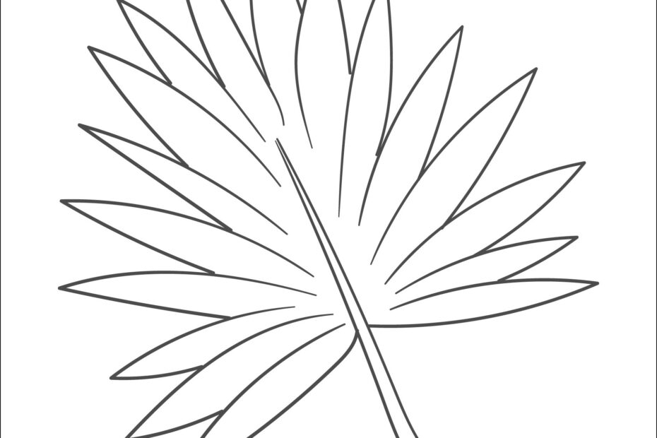 Palm Leaf Template 16 Free PDF Printables Printablee